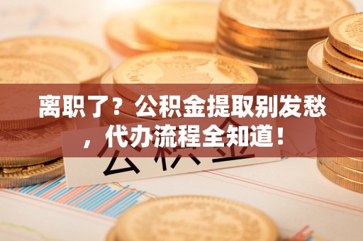 细河离职了？公积金提取别发愁，代办流程全知道！