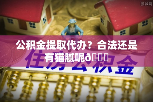 细河公积金提取代办？合法还是有猫腻呢😏
