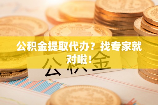 细河公积金提取代办？找专家就对啦！